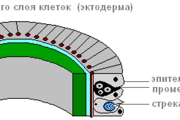 Кракен ссылка тор kraken014 com